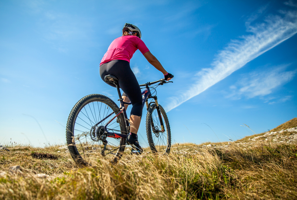 VTT