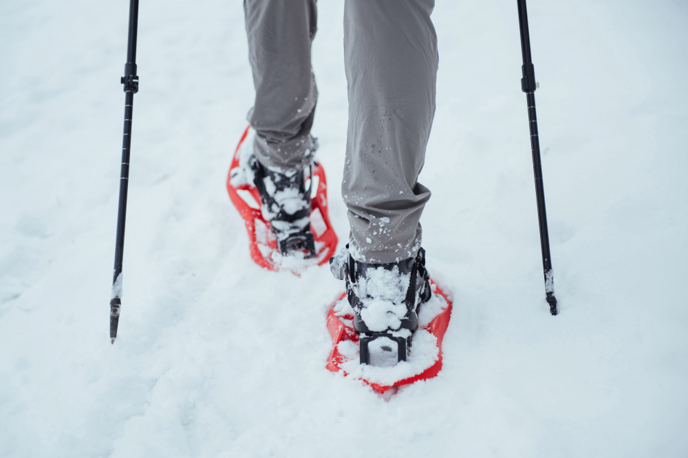 Snowshoes