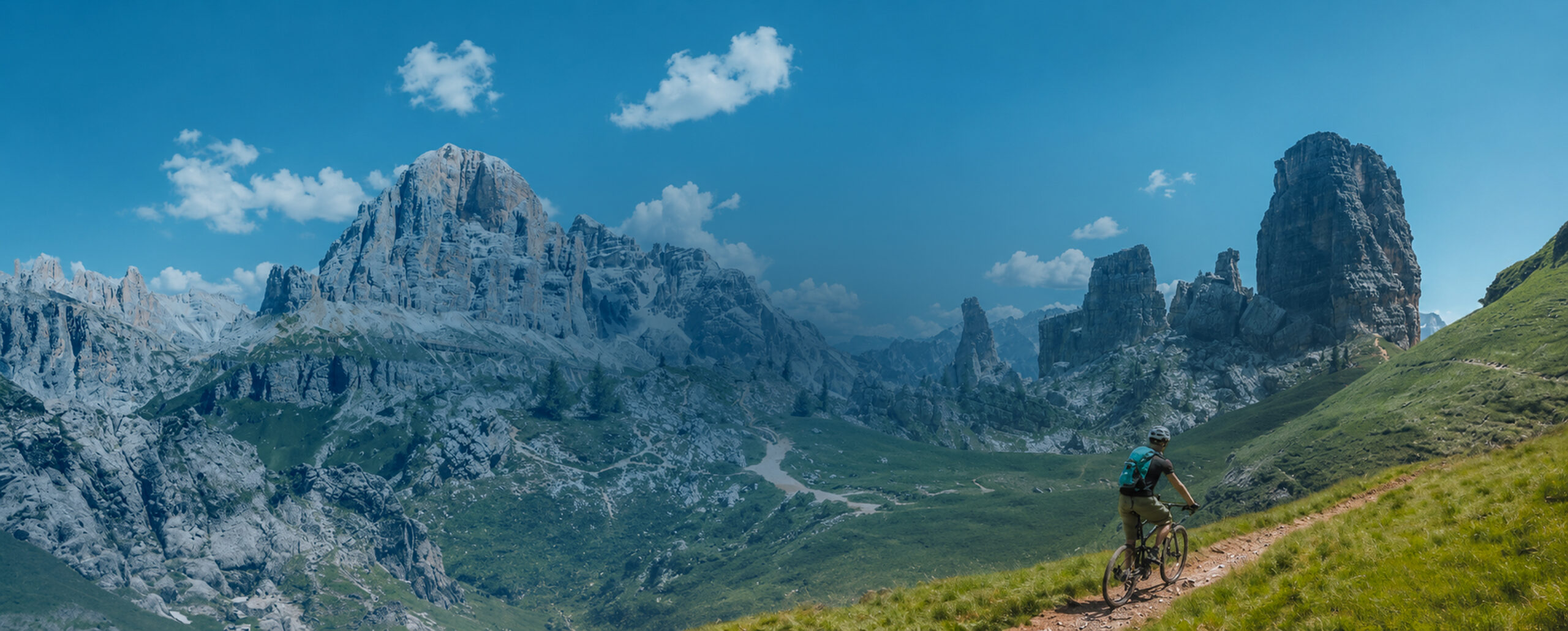 Banner Image Summer